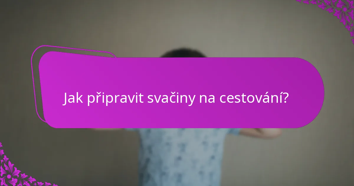 Jak připravit svačiny na cestování?