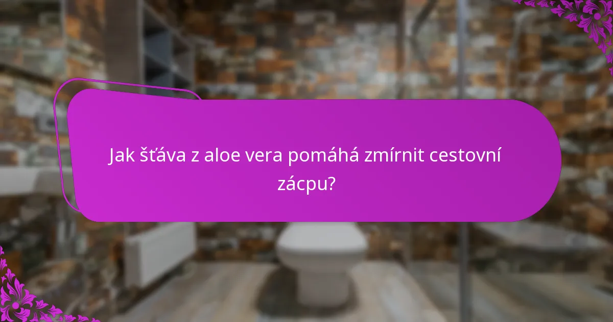 Jak šťáva z aloe vera pomáhá zmírnit cestovní zácpu?