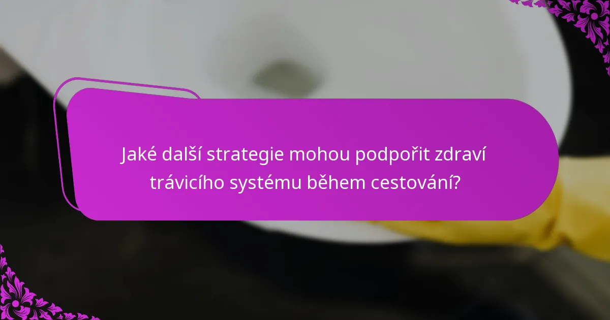 Jaké další strategie mohou podpořit zdraví trávicího systému během cestování?