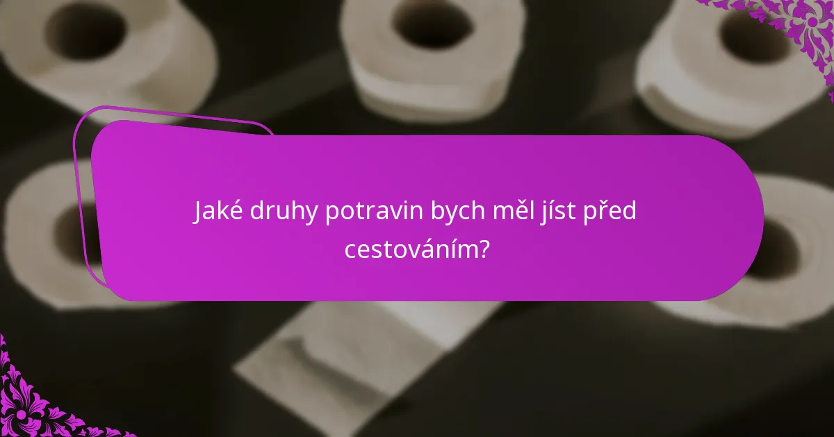 Jaké druhy potravin bych měl jíst před cestováním?