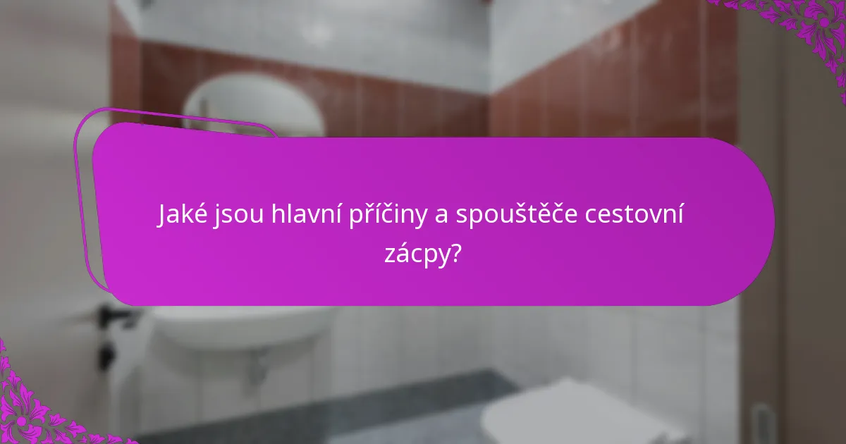 Jaké jsou hlavní příčiny a spouštěče cestovní zácpy?