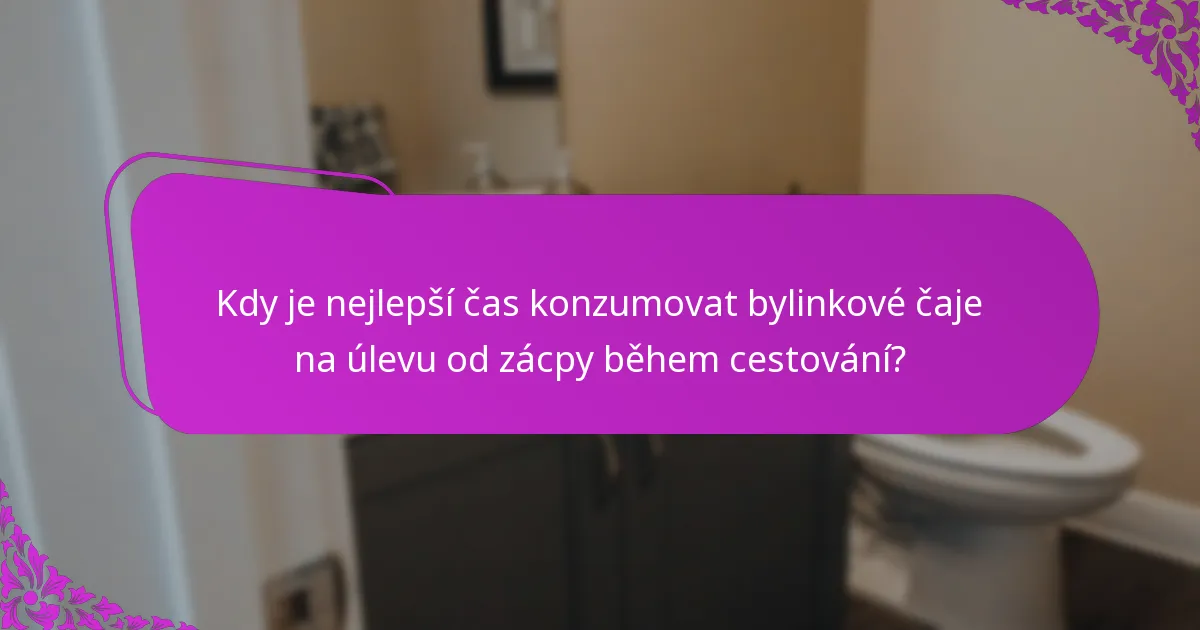 Kdy je nejlepší čas konzumovat bylinkové čaje na úlevu od zácpy během cestování?