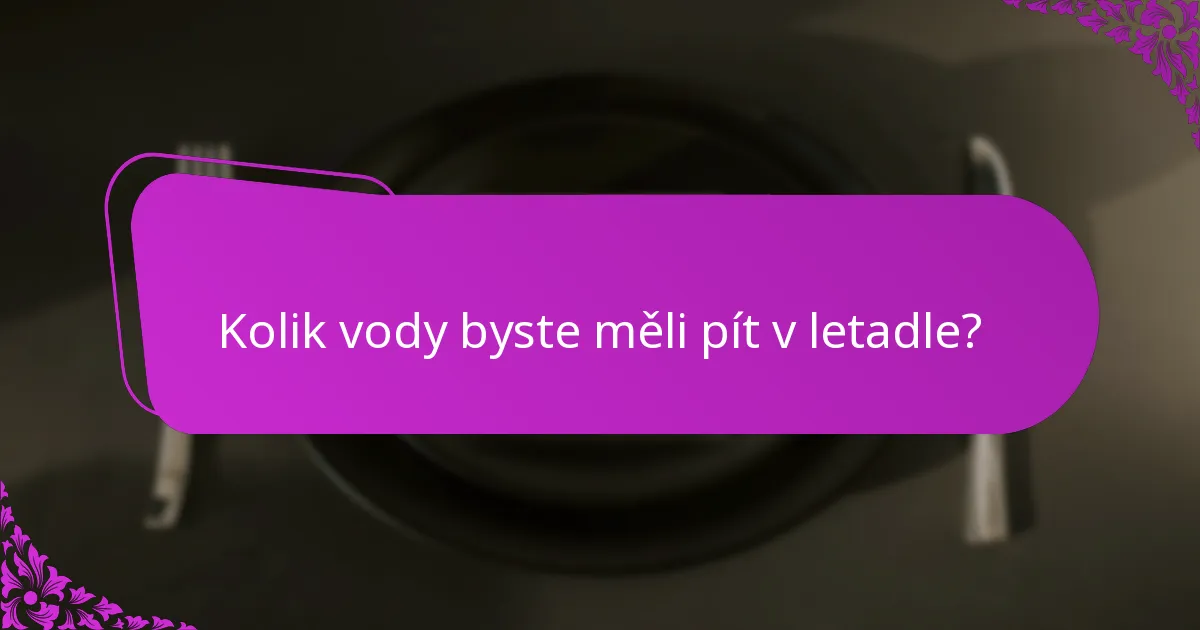 Kolik vody byste měli pít v letadle?